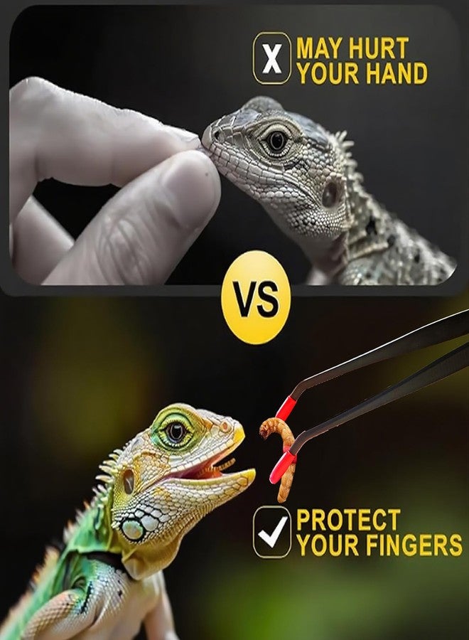 Repticircle 2 Pcs Reptile Feeding Tongs - Stainless Steel Aquarium Tweezers with Rubber Tips, Straight & Curved Long Handle for Bearded Dragons, Lizards, Snakes, Spiders & Terrarium Feeding - Image 3